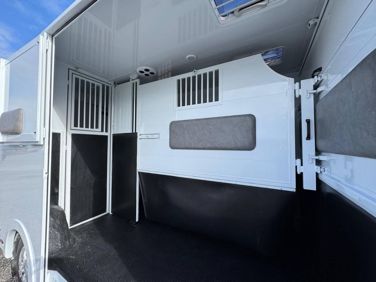 Horsebox HGV TBST Renault Master 2025 New