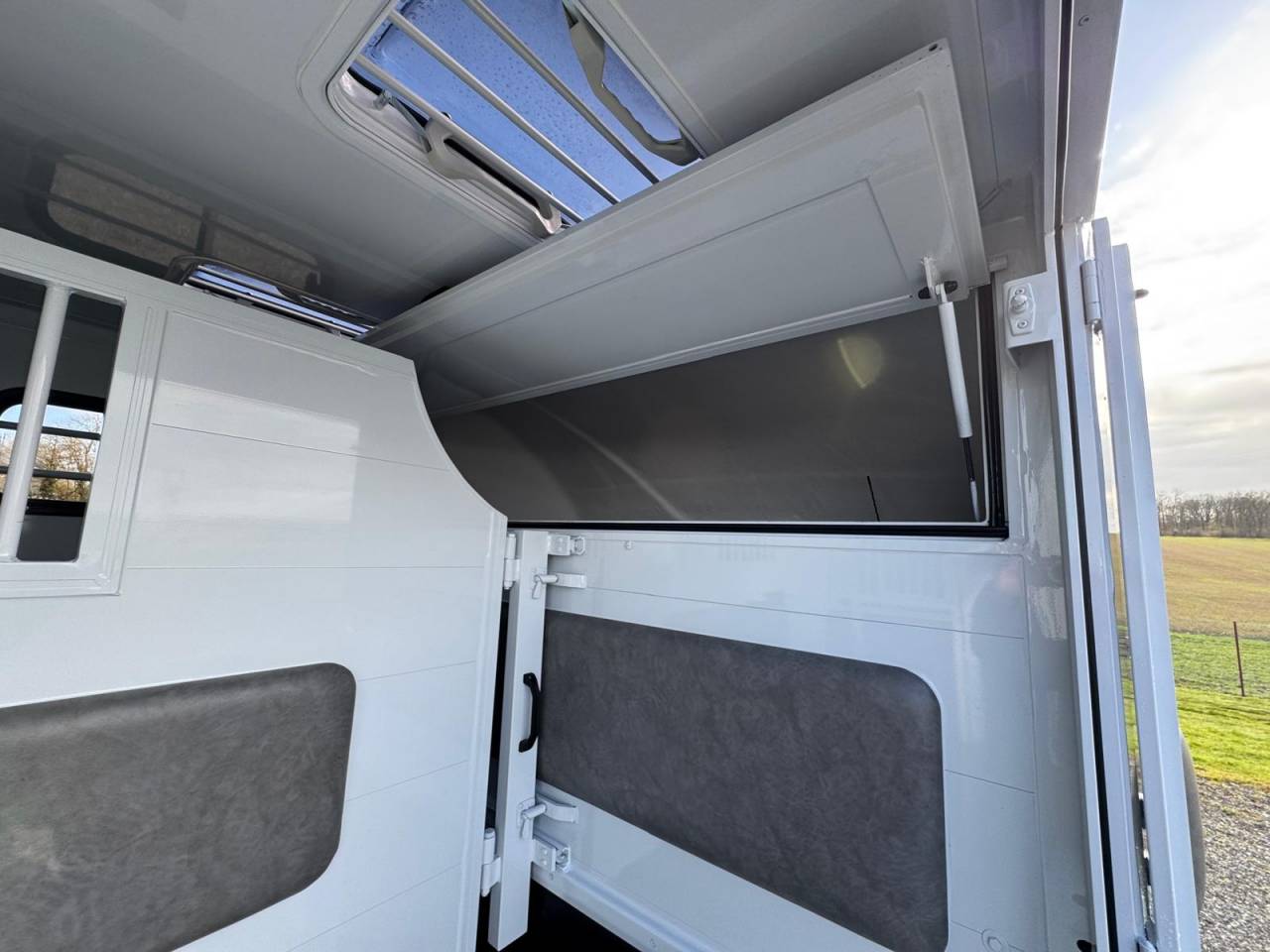 Horsebox HGV TBST Renault Master 2025 New