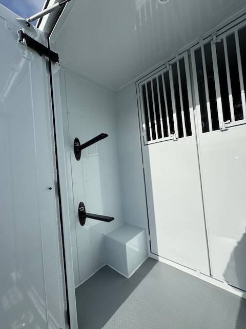 Horsebox HGV TBST Renault Master 2025 New