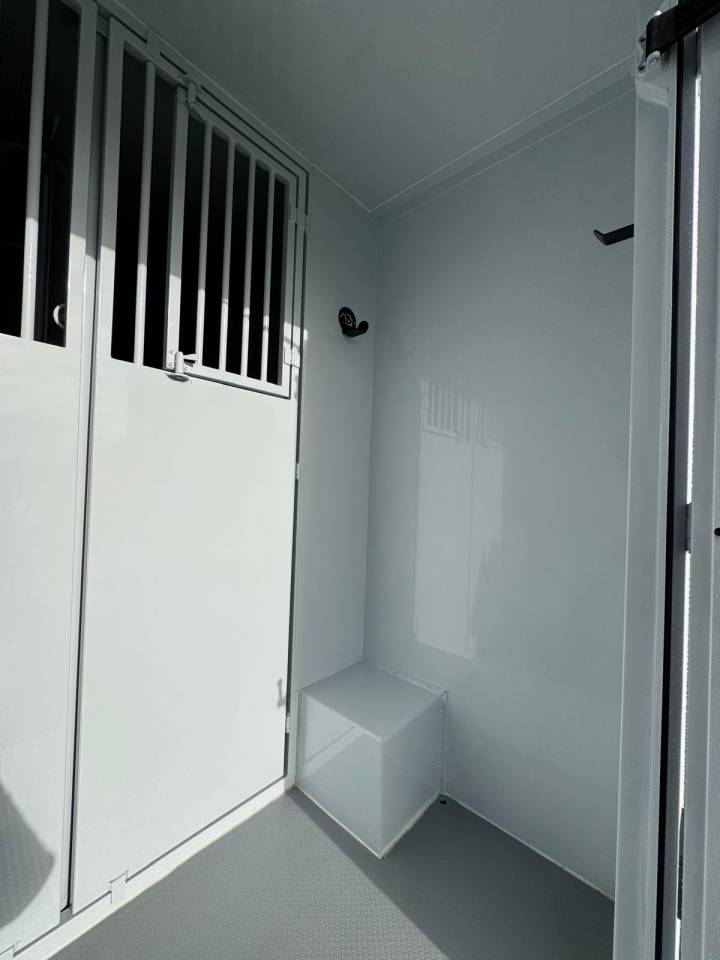 Horsebox HGV TBST Renault Master 2025 New