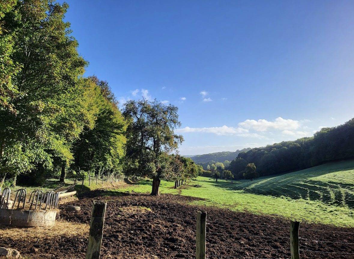 Equestrian property  Calvados