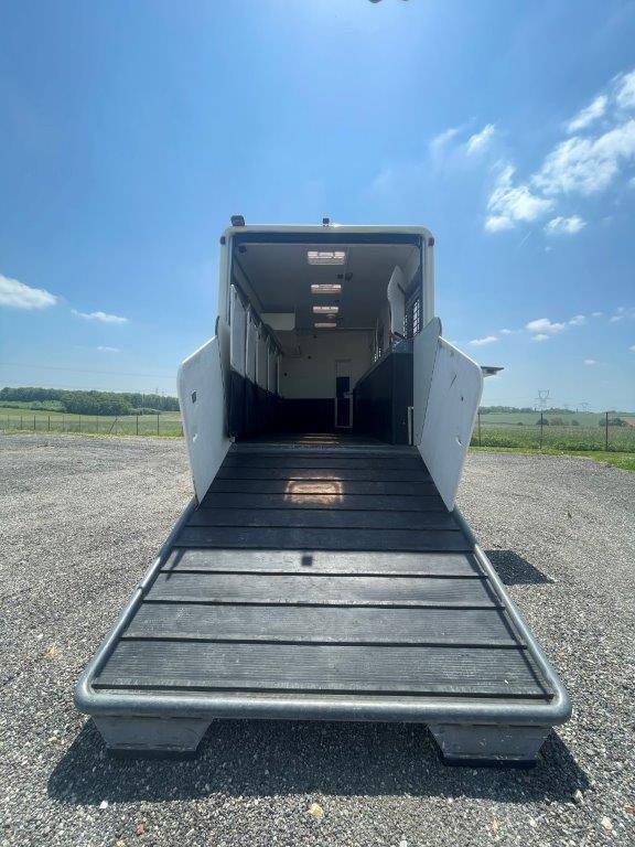 Horsebox NON-HGV Scania Donguy 2001 Used