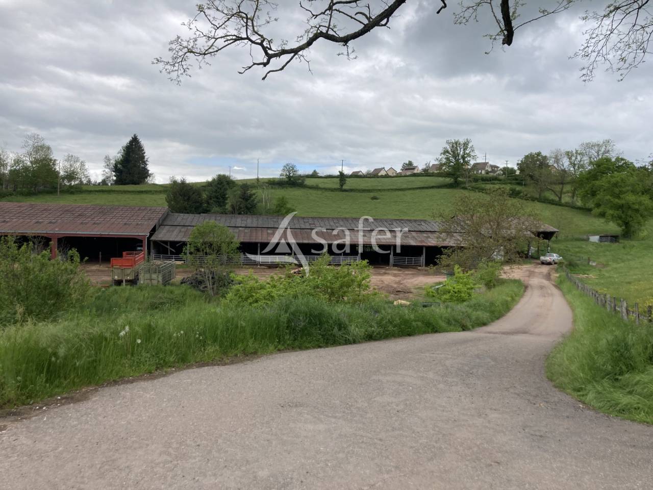 Sheep farm  Saône-et-Loire
