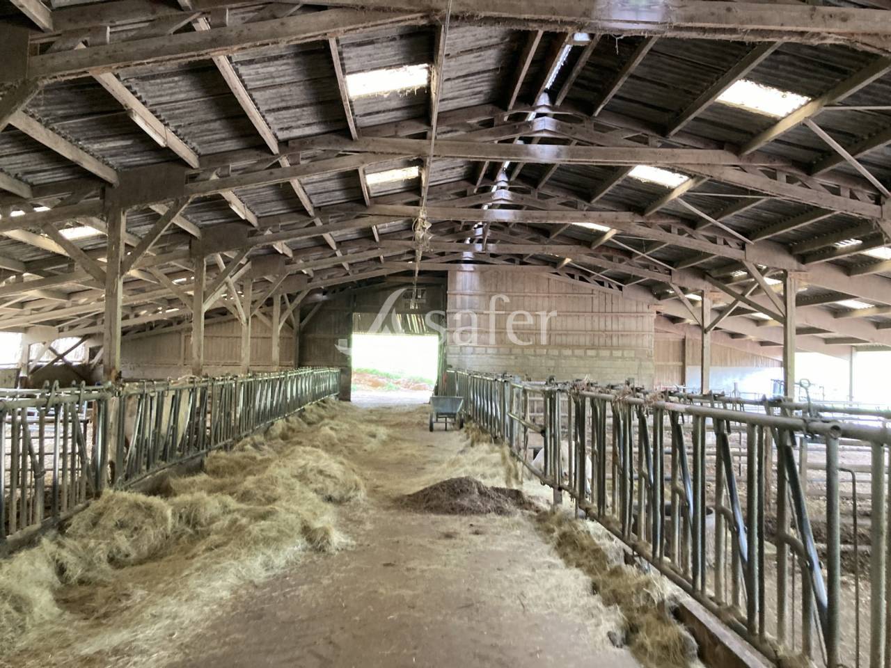 Sheep farm  Saône-et-Loire