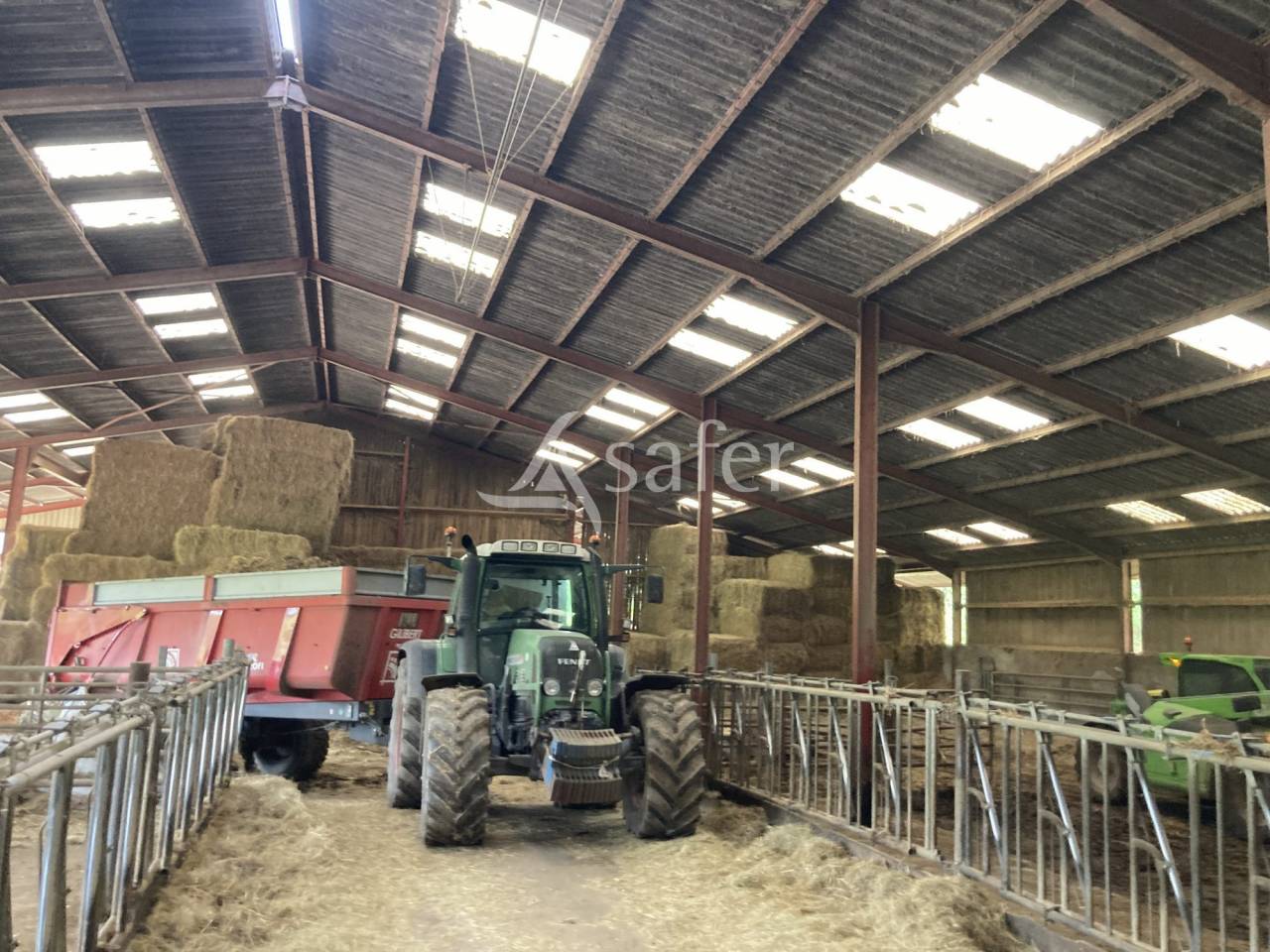 Sheep farm  Saône-et-Loire