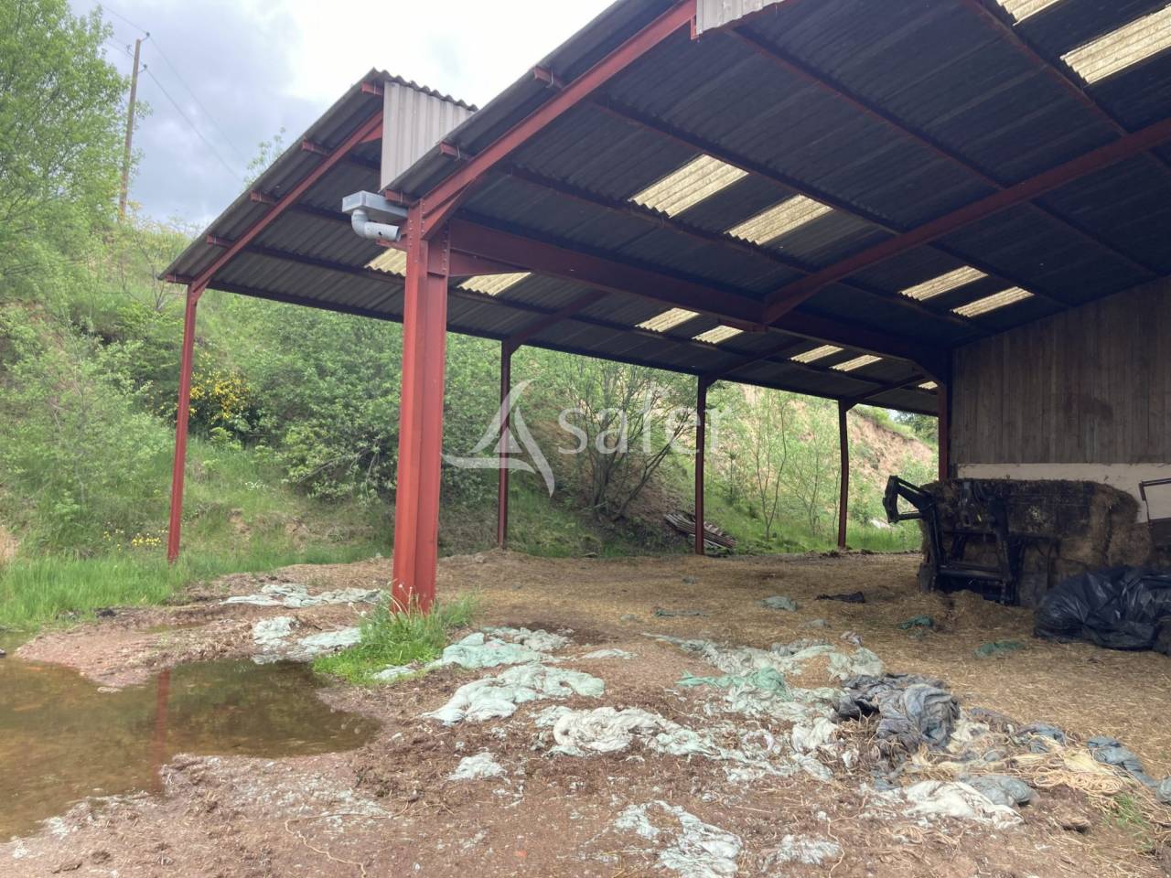 Sheep farm  Saône-et-Loire