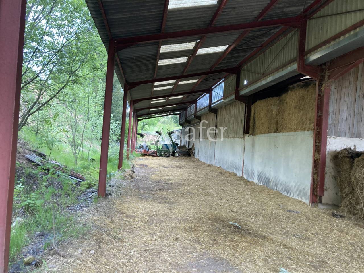 Sheep farm  Saône-et-Loire