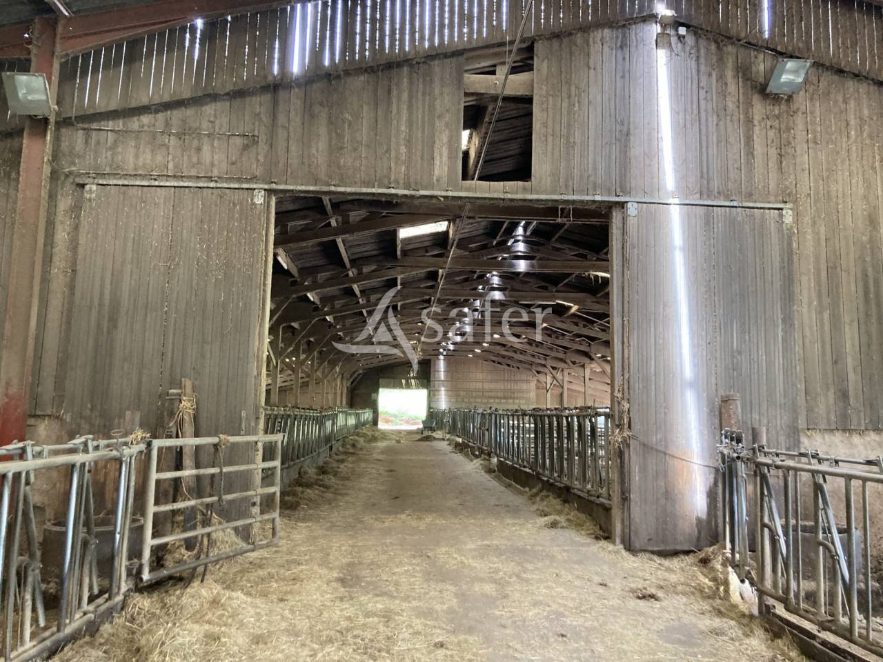 Sheep farm  Saône-et-Loire