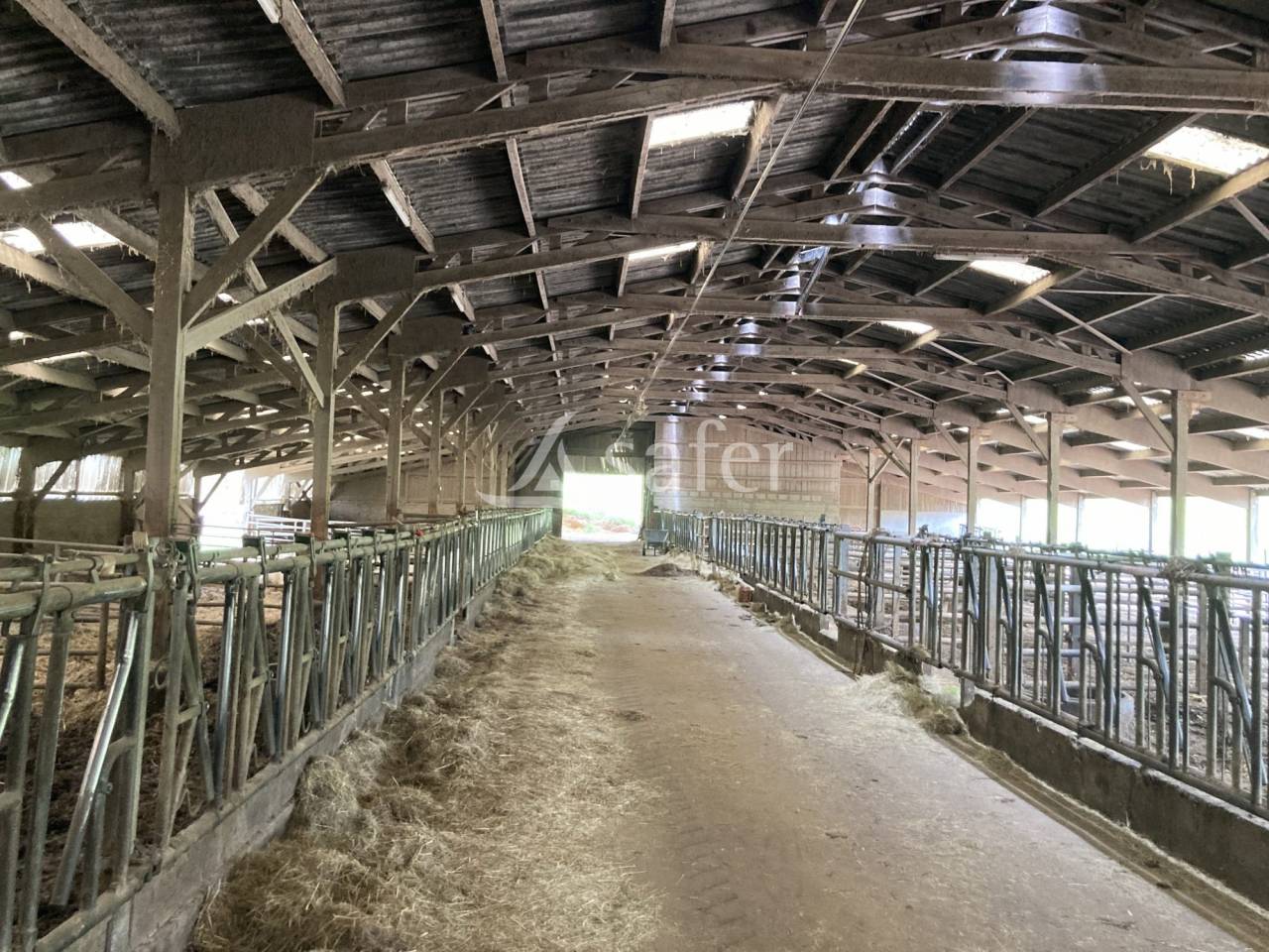 Sheep farm  Saône-et-Loire