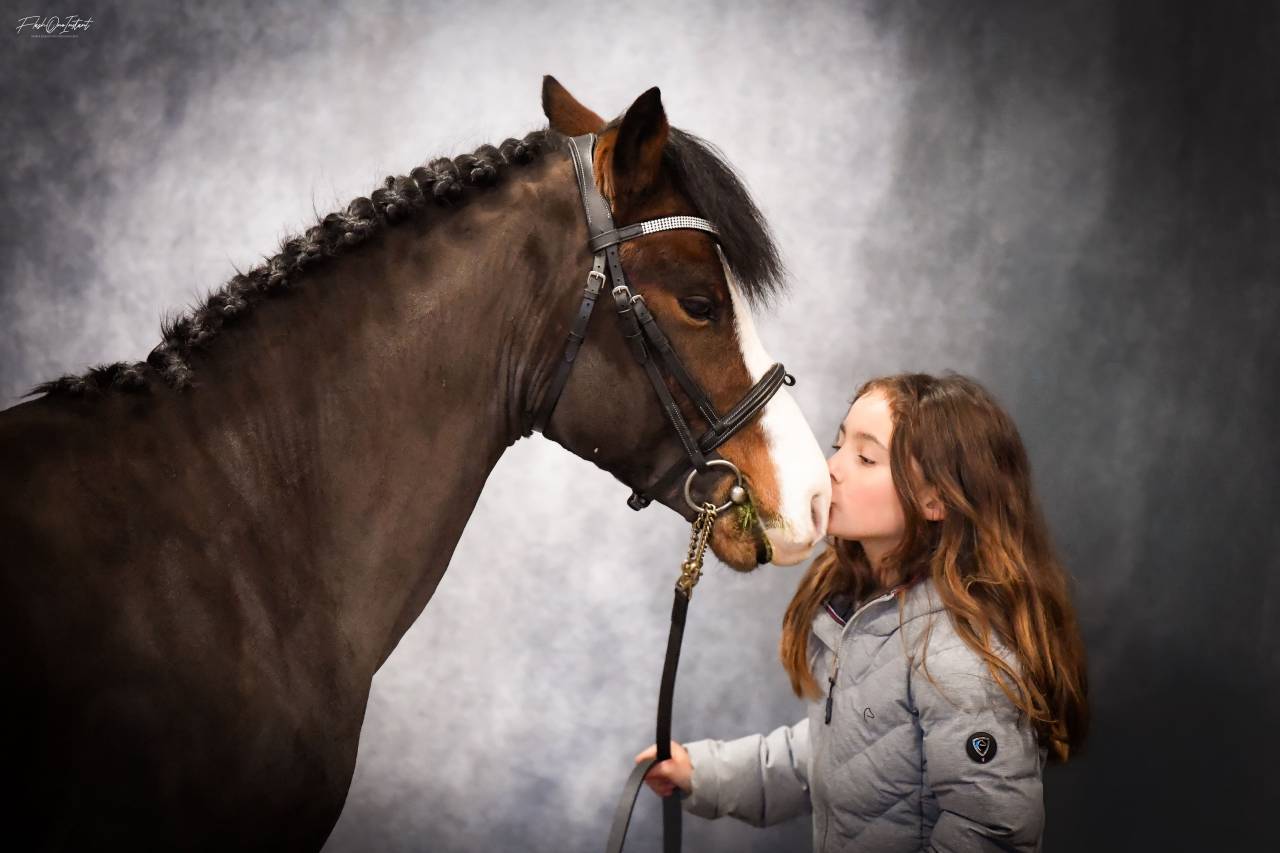 Koetsiershoeve Billy of Glory - New Forest 2019 by Comm's Forest Dille