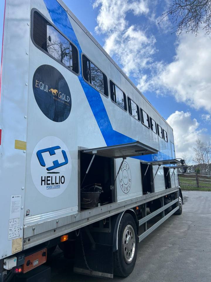 Horsebox NON-HGV Renault midle 2011 Used