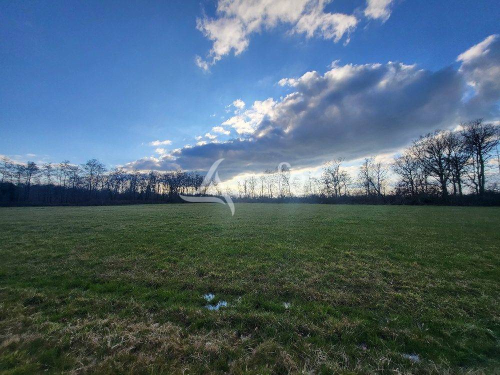 Equestrian property  Ain