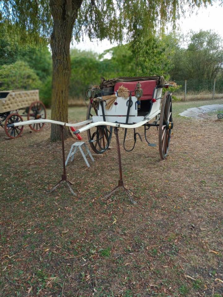 Carriage - Calèche Equi'marché 1960 