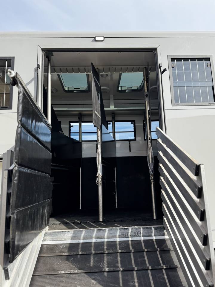 Horsebox NON-HGV Volvo FH 6  2024 Used