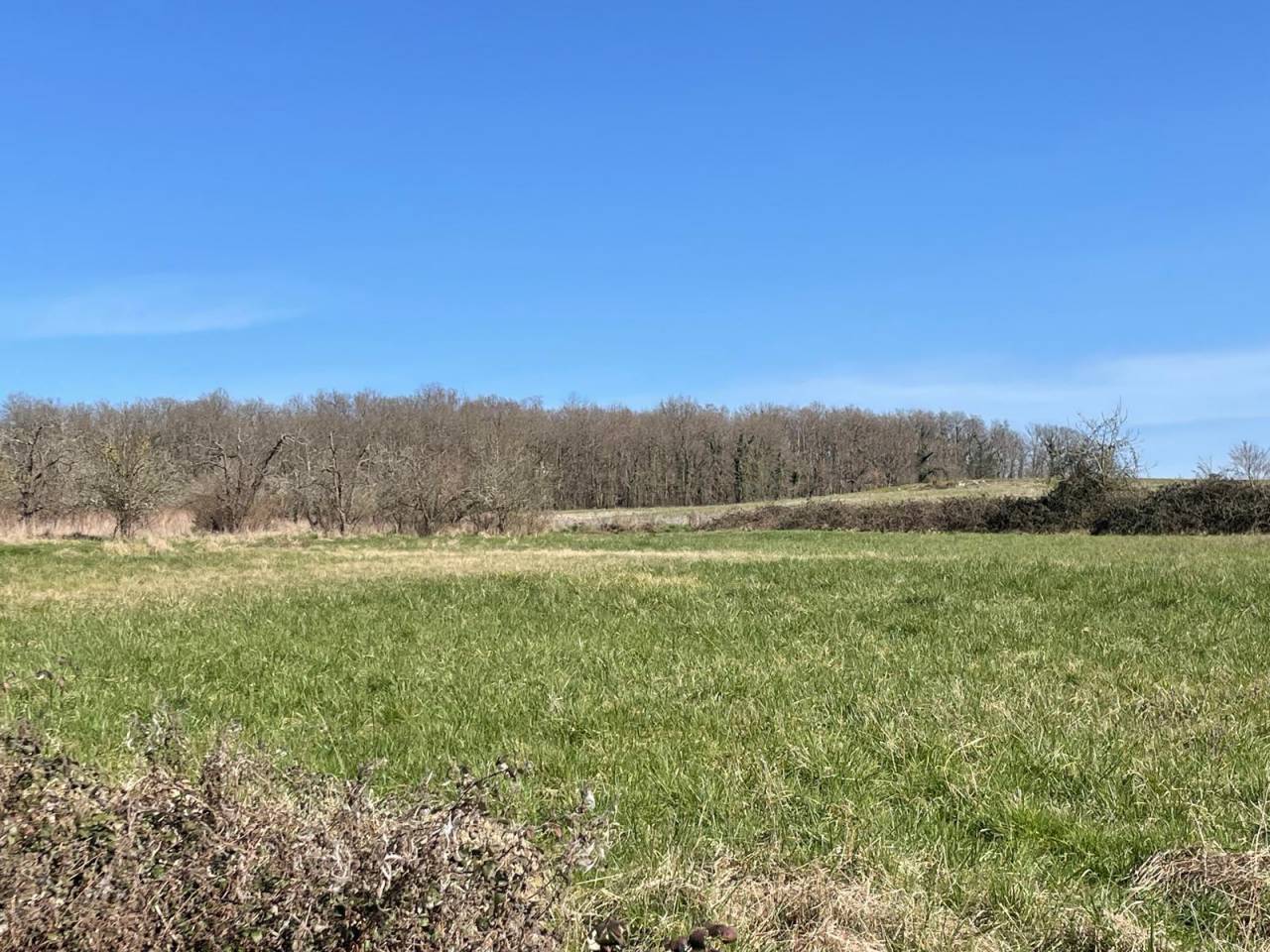 Equestrian property  Dordogne