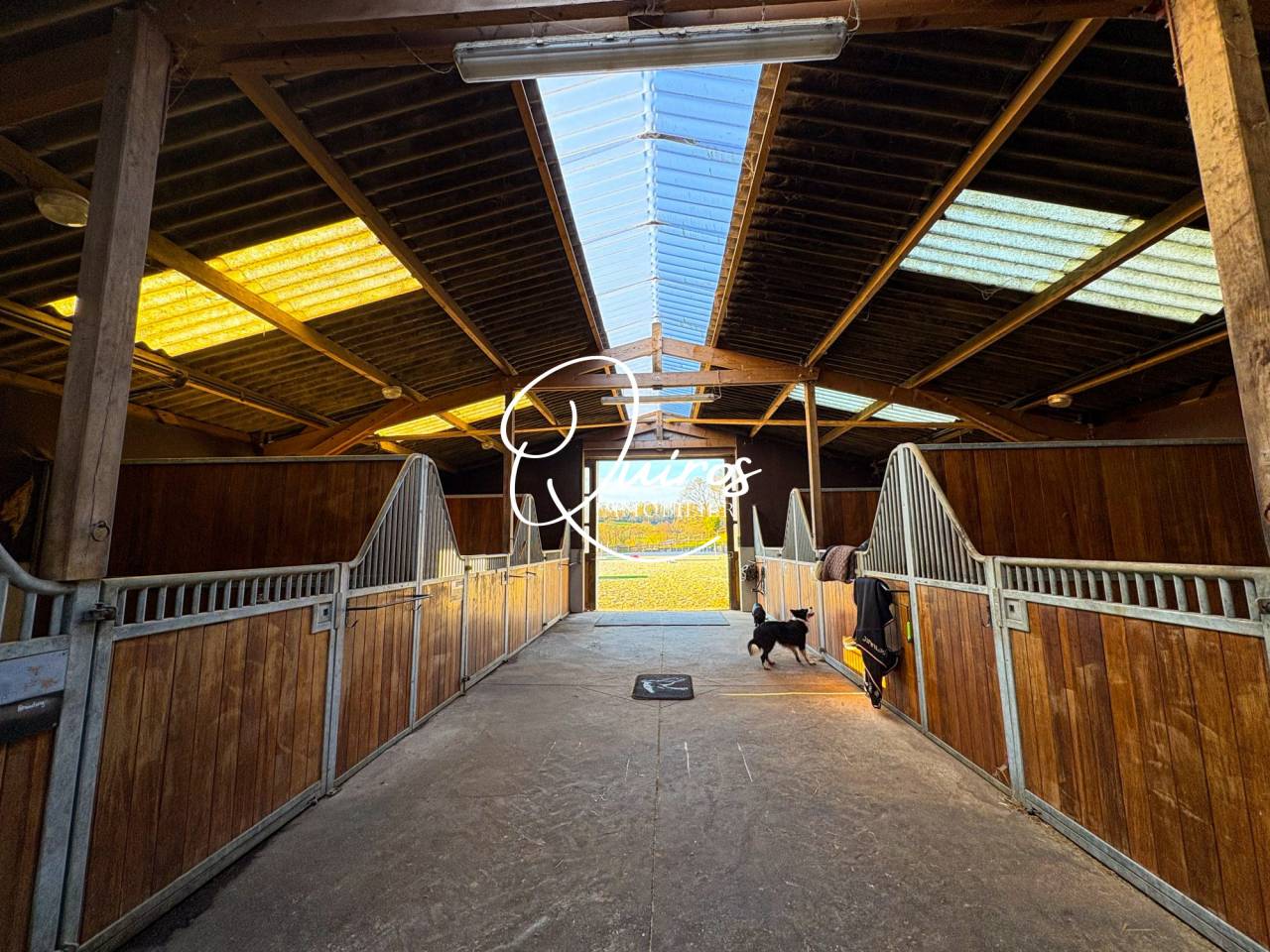 Equestrian property  Calvados