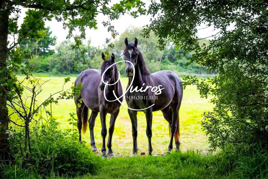 Equestrian property  Calvados