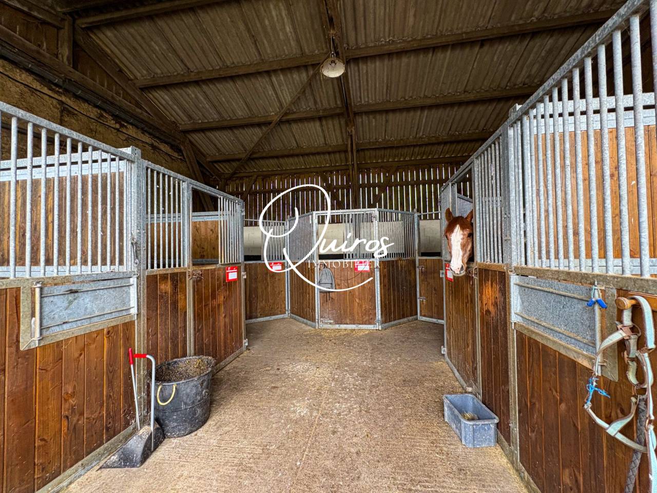 Equestrian property  Calvados