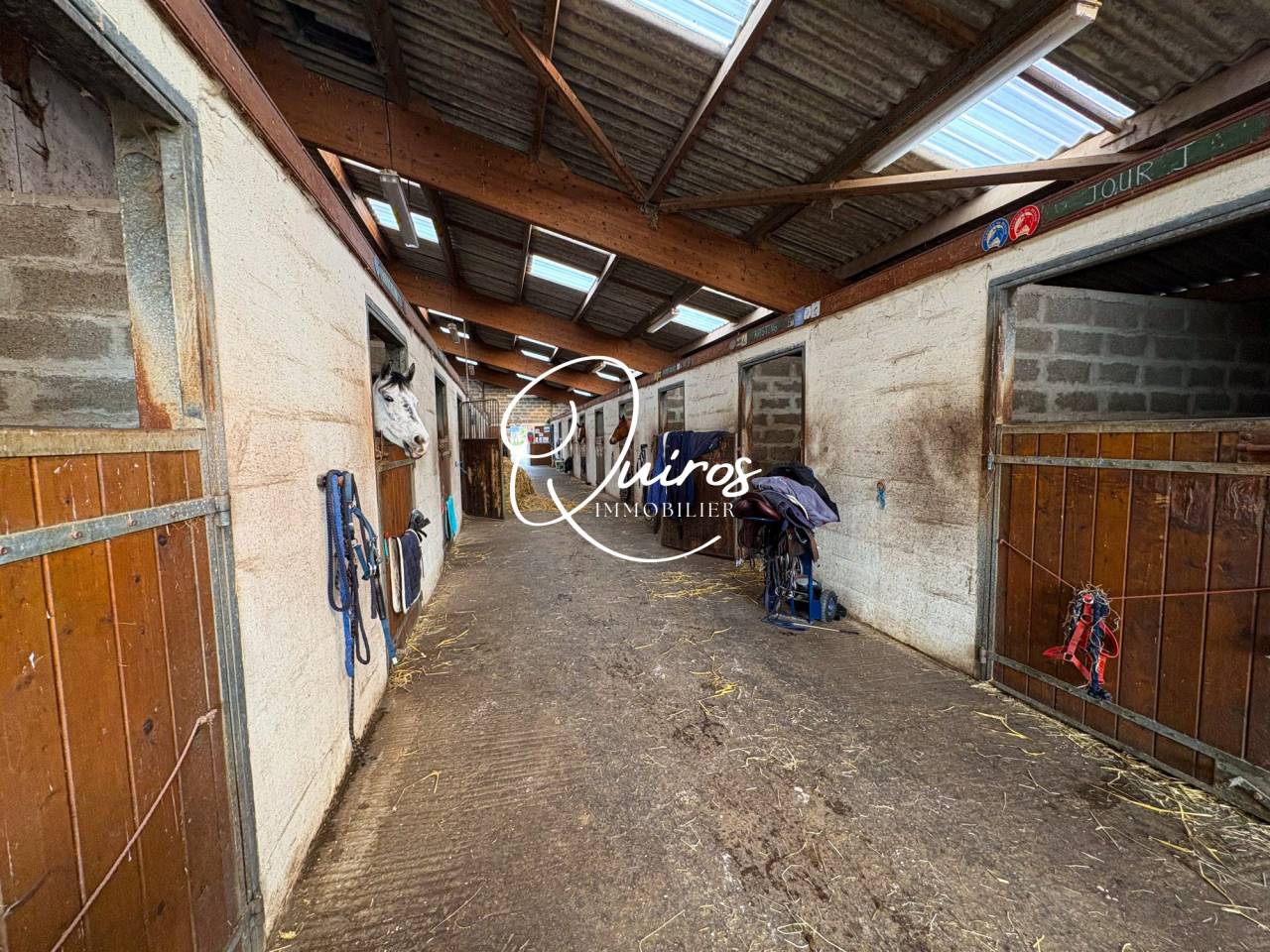 Equestrian property  Calvados