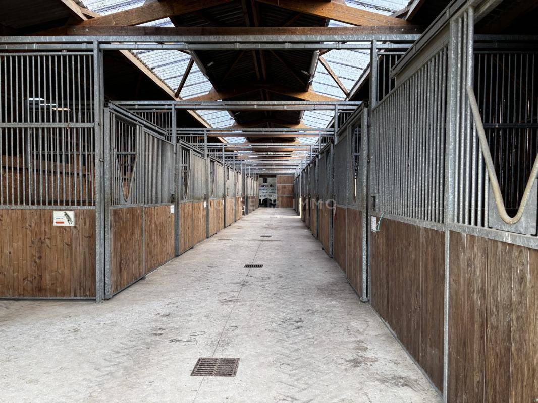 Stud farm  Morbihan