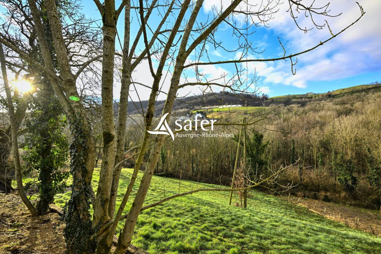 Other country property  Rh&ocirc;ne