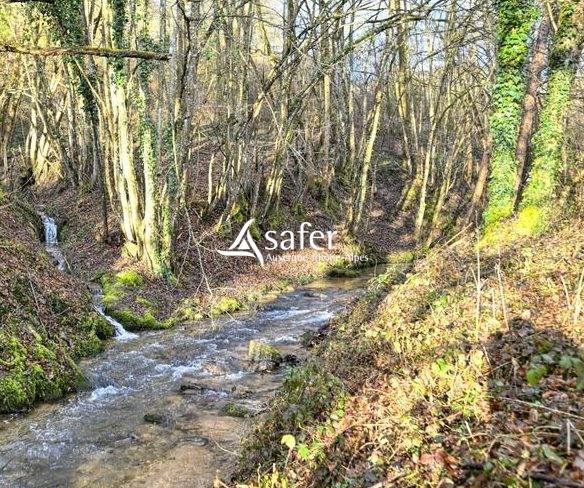 Other country property  Rh&ocirc;ne