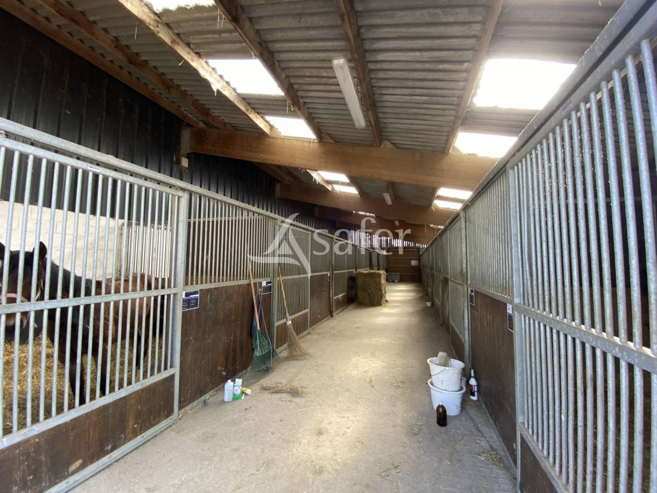 Equestrian property  Orne