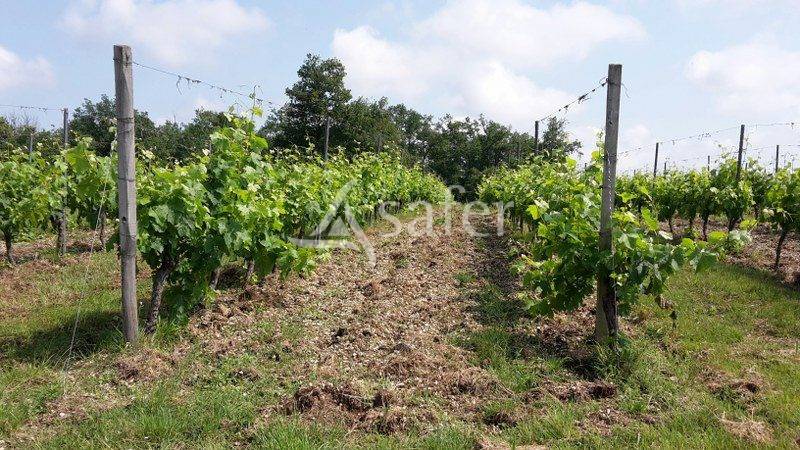 Other country property  Gironde