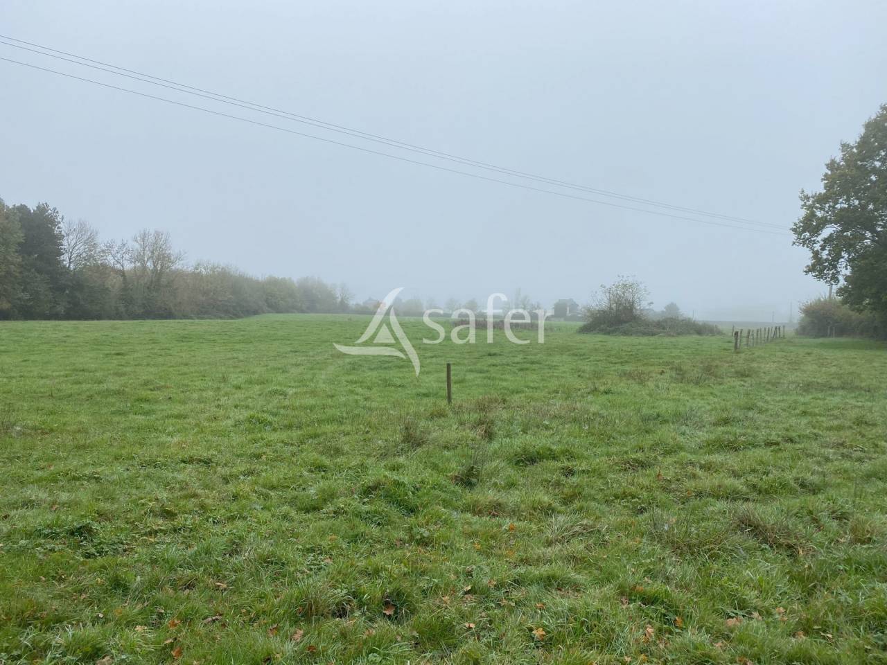 Other agricultural property  Calvados