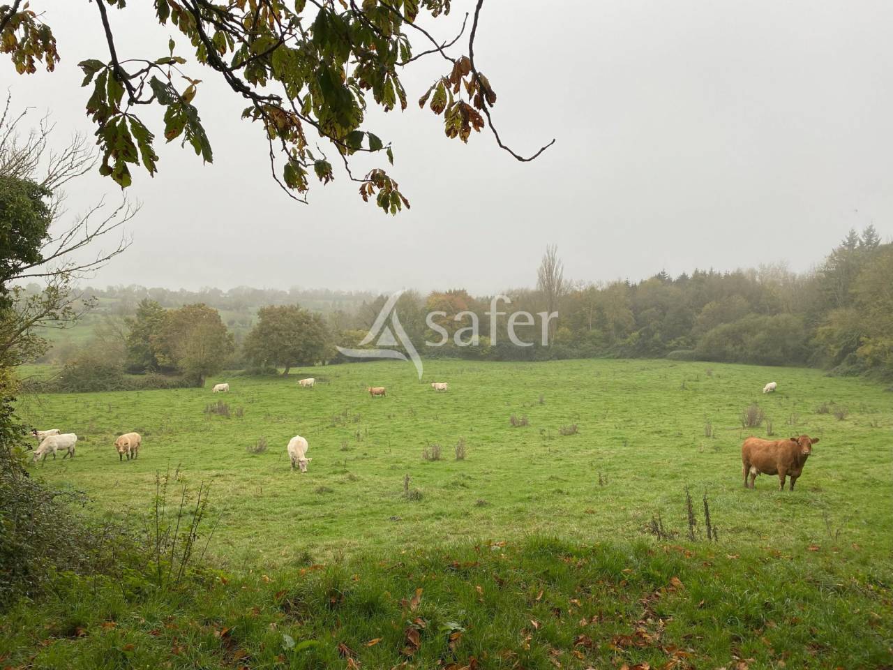 Other agricultural property  Calvados