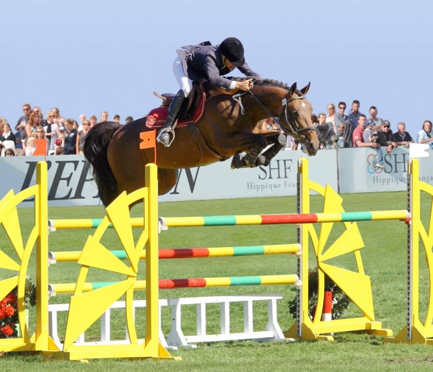 Sunday de riverland  - Selle Français 2006