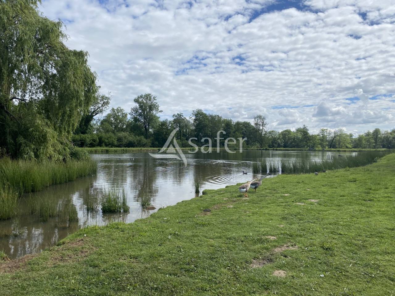 Equestrian property  Ain