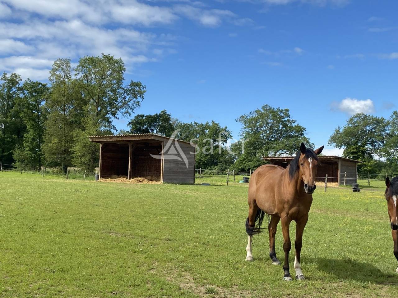 Equestrian property  Ain