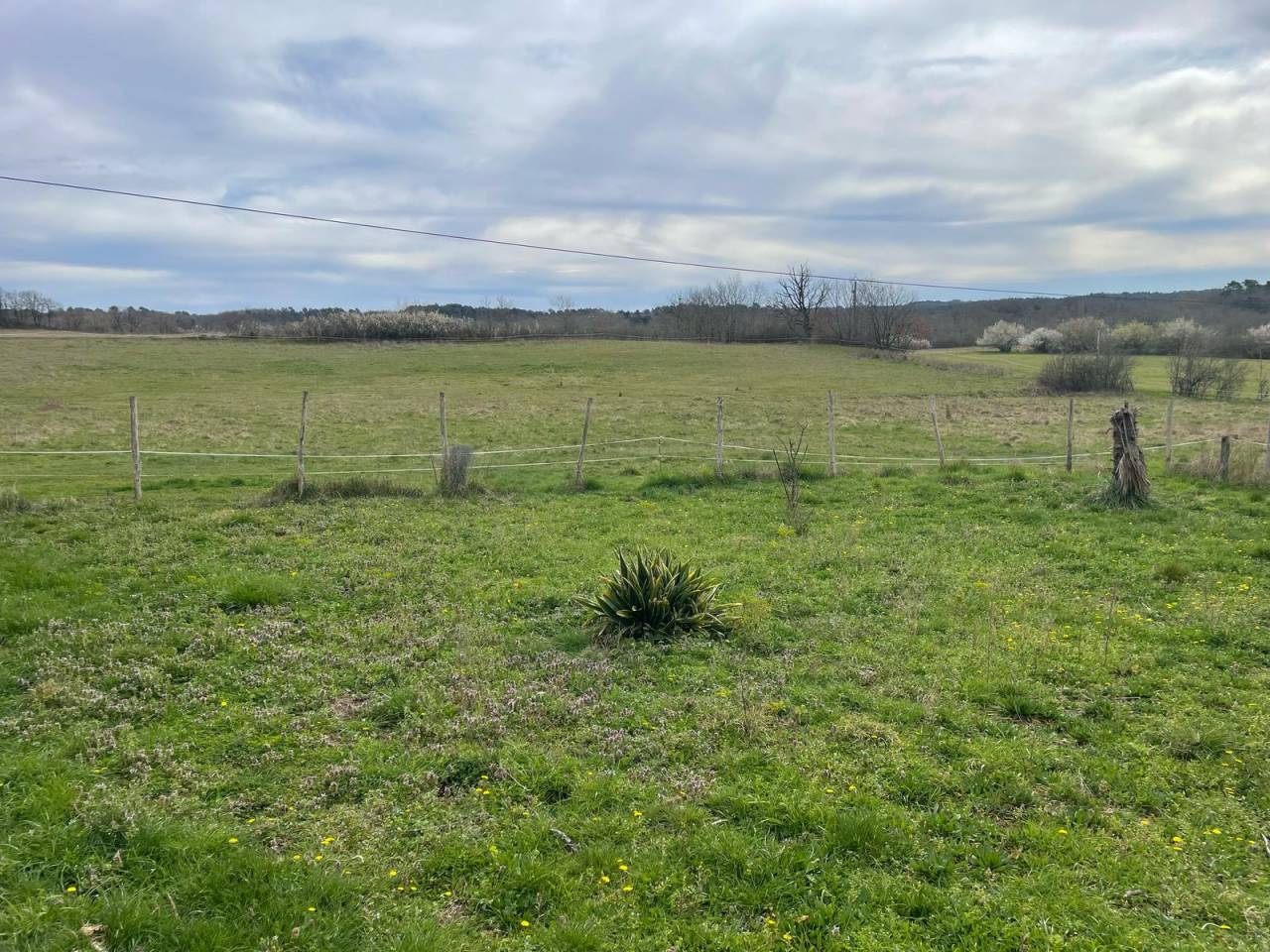 Equestrian property  Dordogne