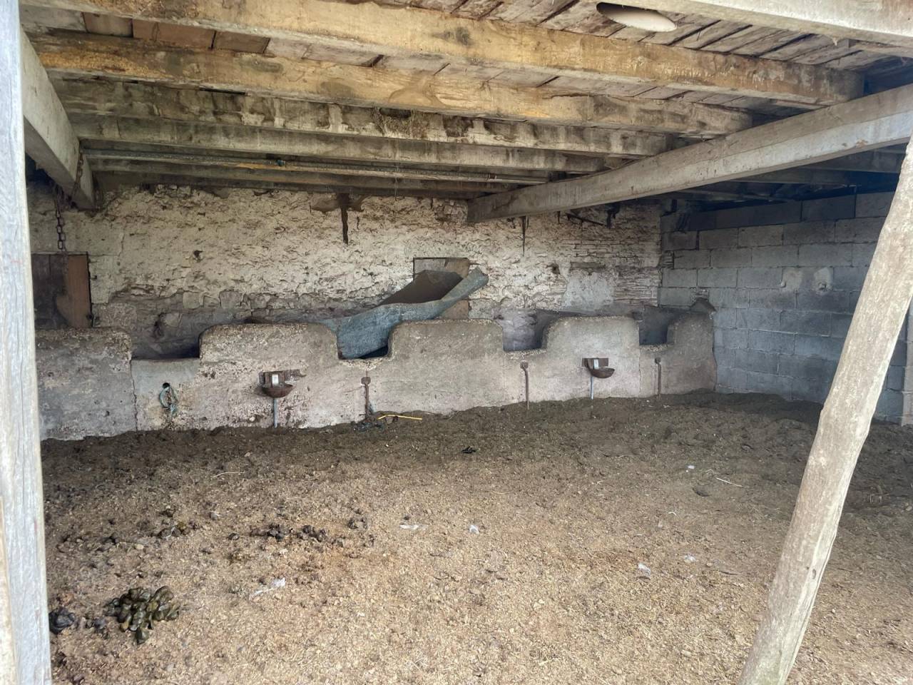 Equestrian property  Dordogne