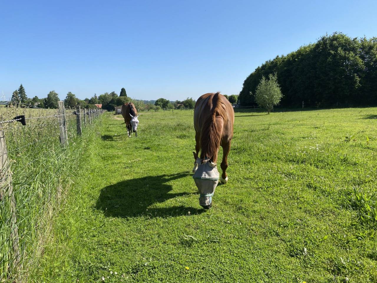 Equestrian property  Aisne