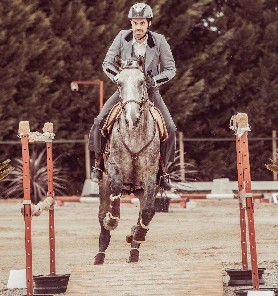 LIMPERADO DU DASTUGUE - Lusitano 2015 by Alamo