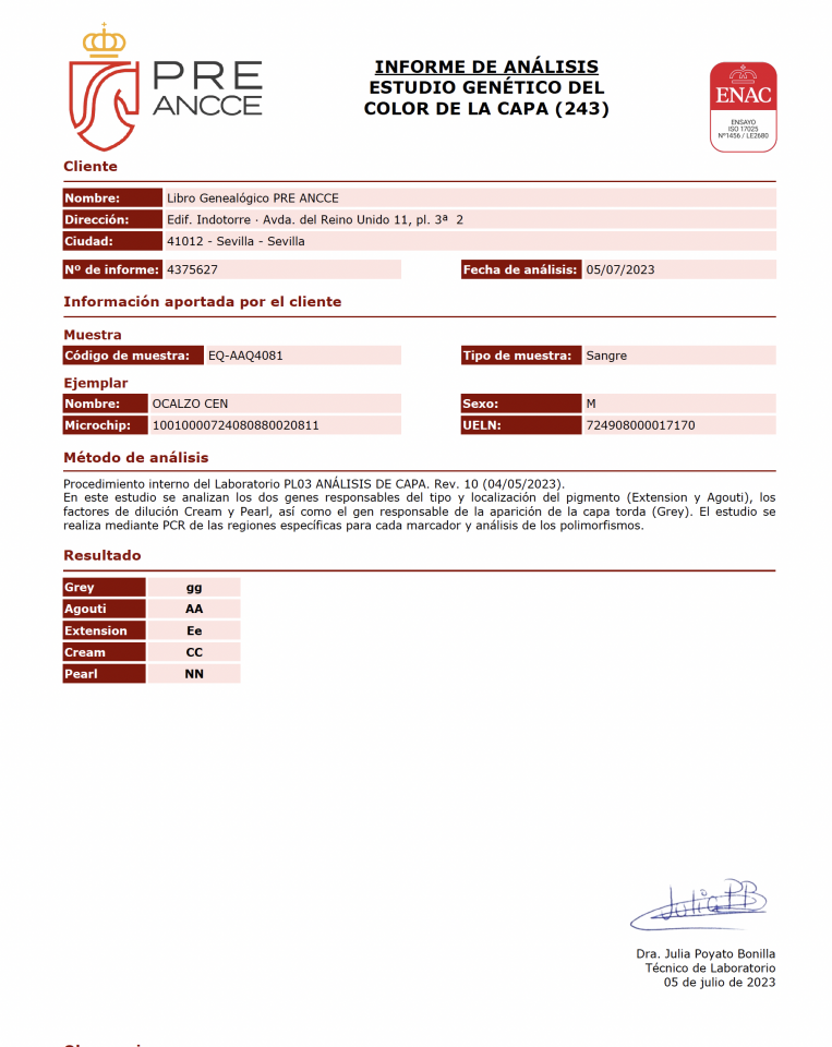 World Champion GP Level Best Character Stallion !!!