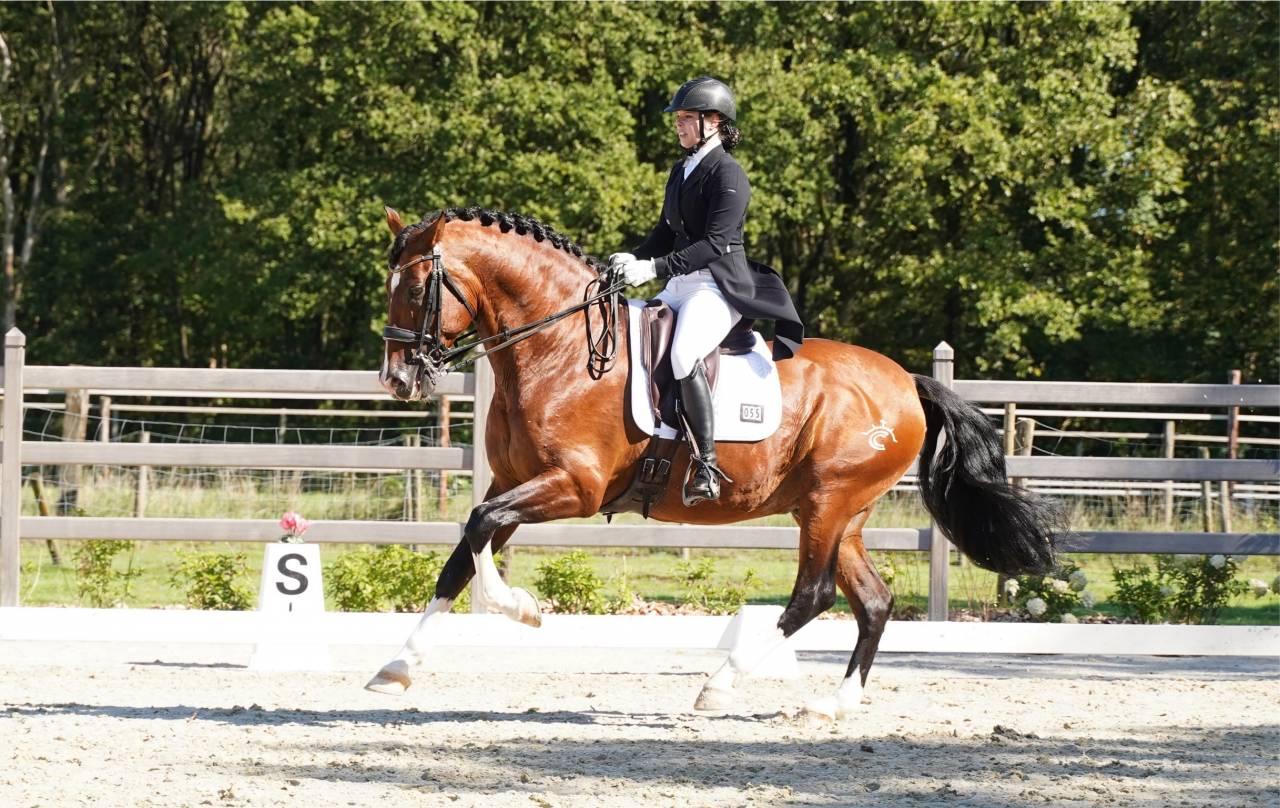 World Champion GP Level Best Character Stallion !!!