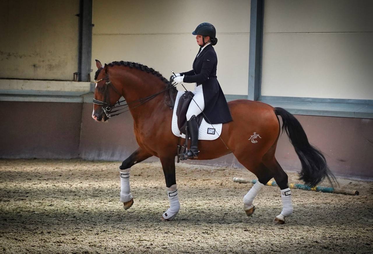 World Champion GP Level Best Character Stallion !!!