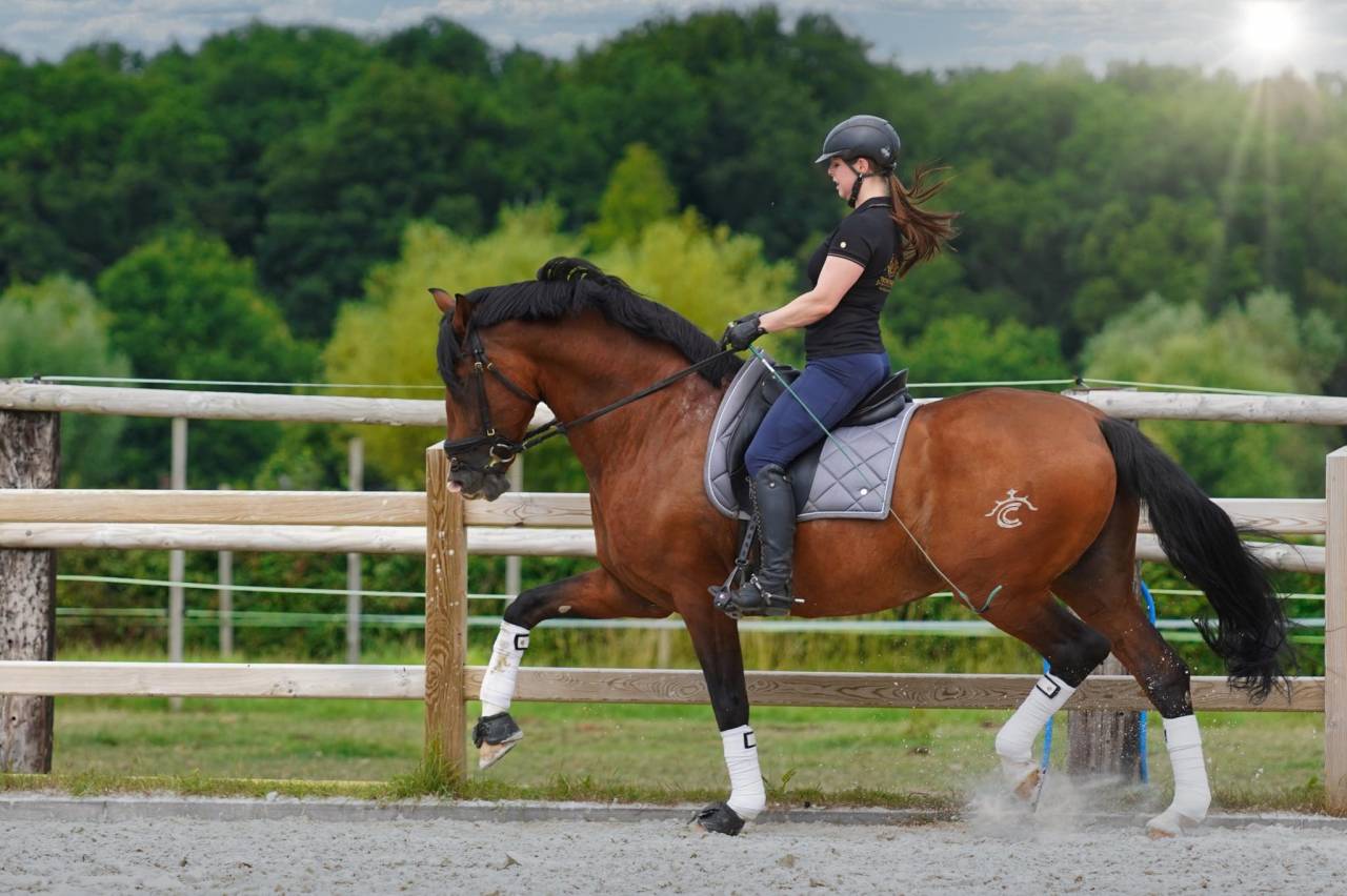 World Champion GP Level Best Character Stallion !!!