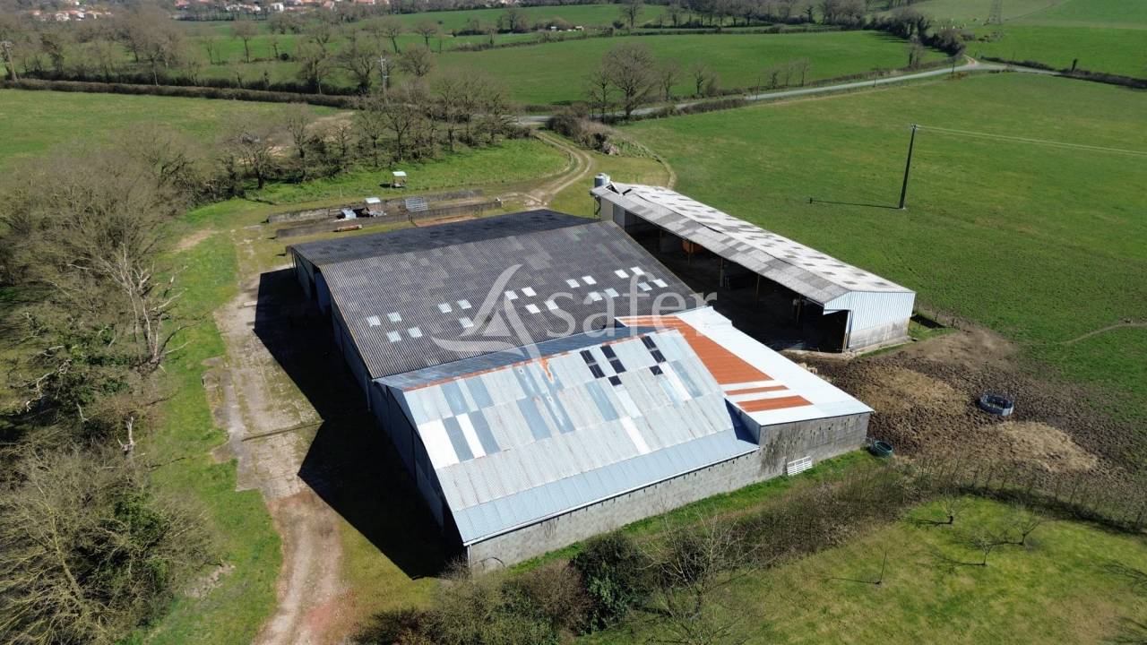 Sheep farm  Deux-Sèvres