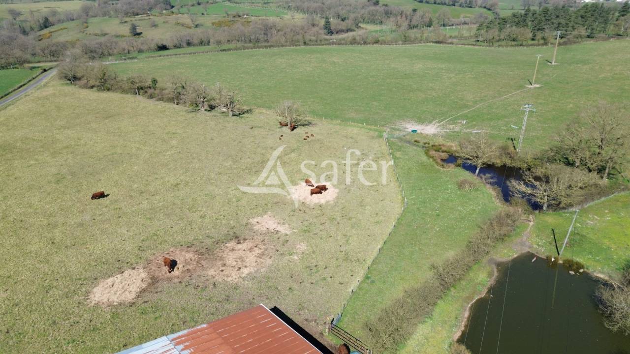 Sheep farm  Deux-Sèvres