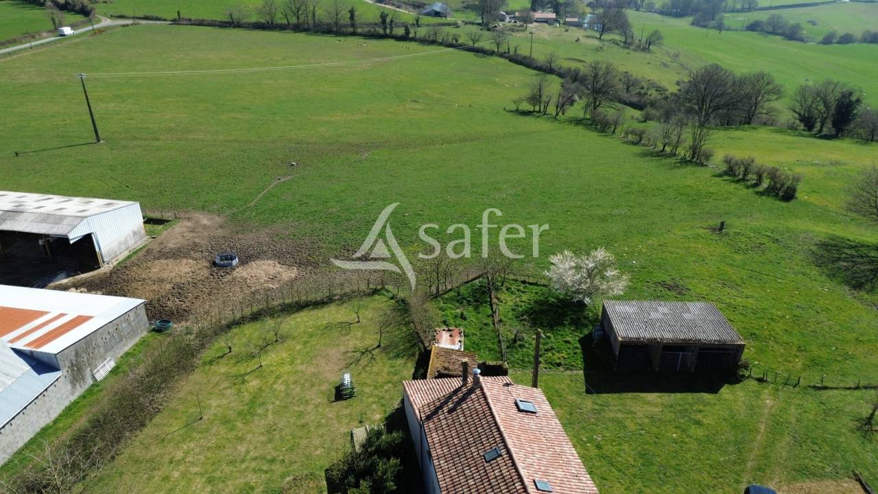 Sheep farm  Deux-Sèvres