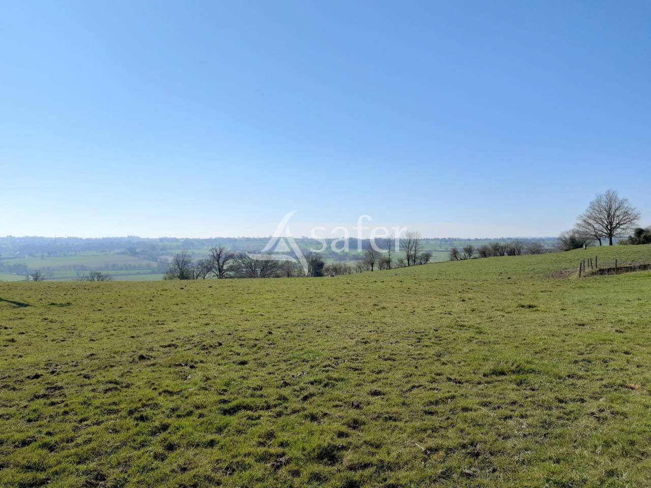 Sheep farm  Deux-Sèvres