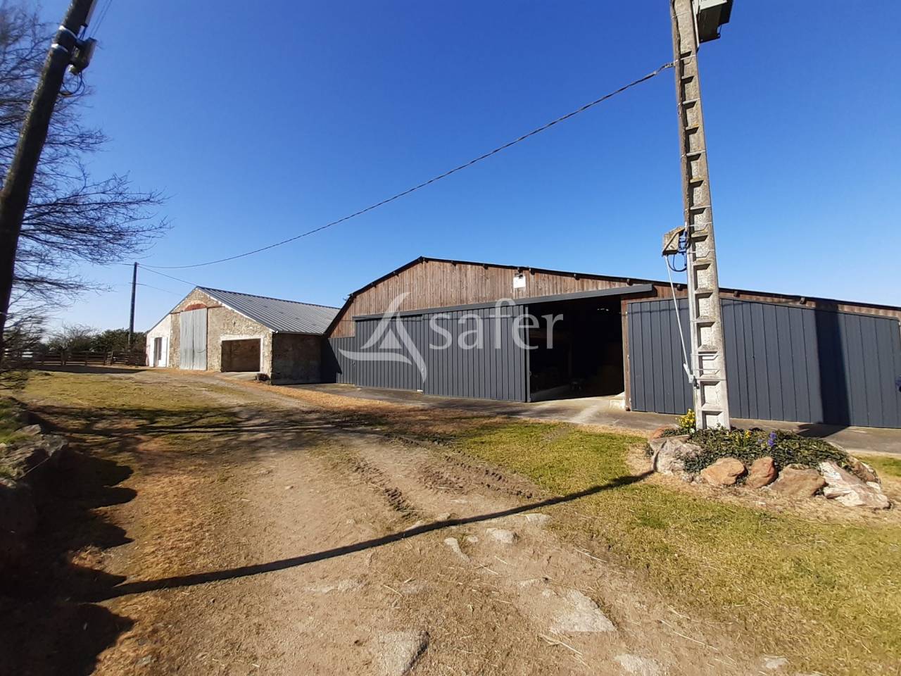 Sheep farm  Deux-Sèvres