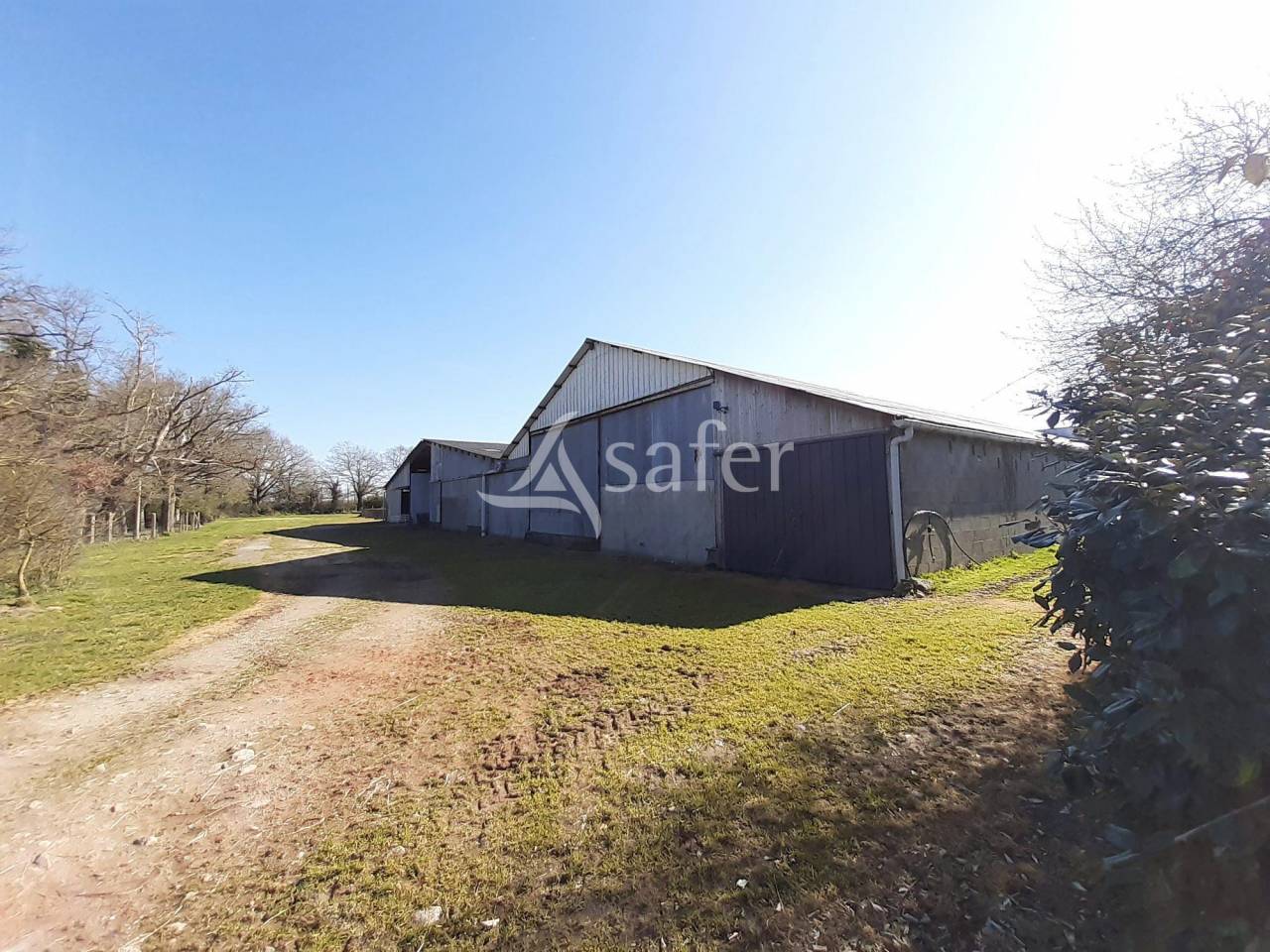 Sheep farm  Deux-Sèvres