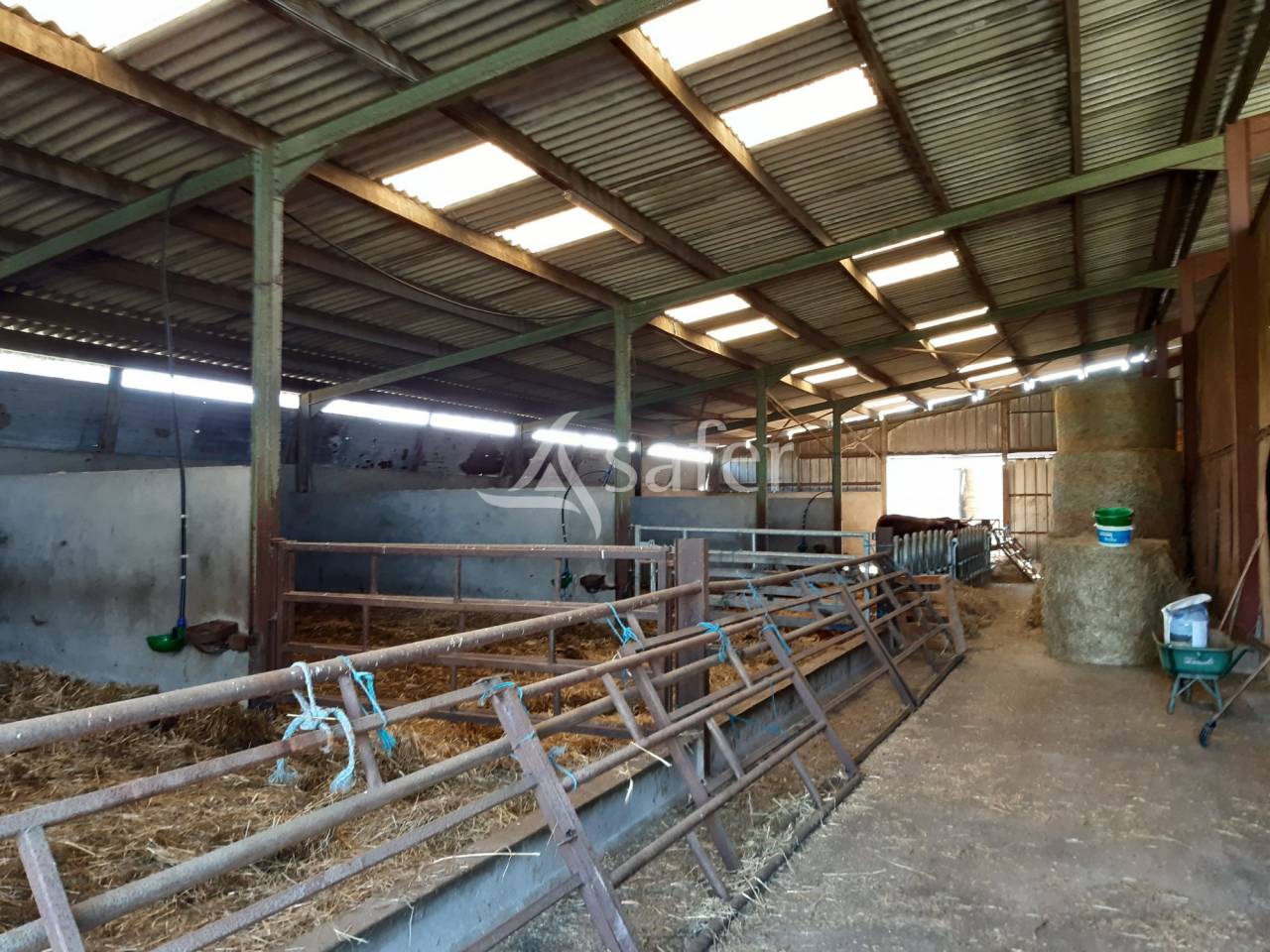 Sheep farm  Deux-Sèvres