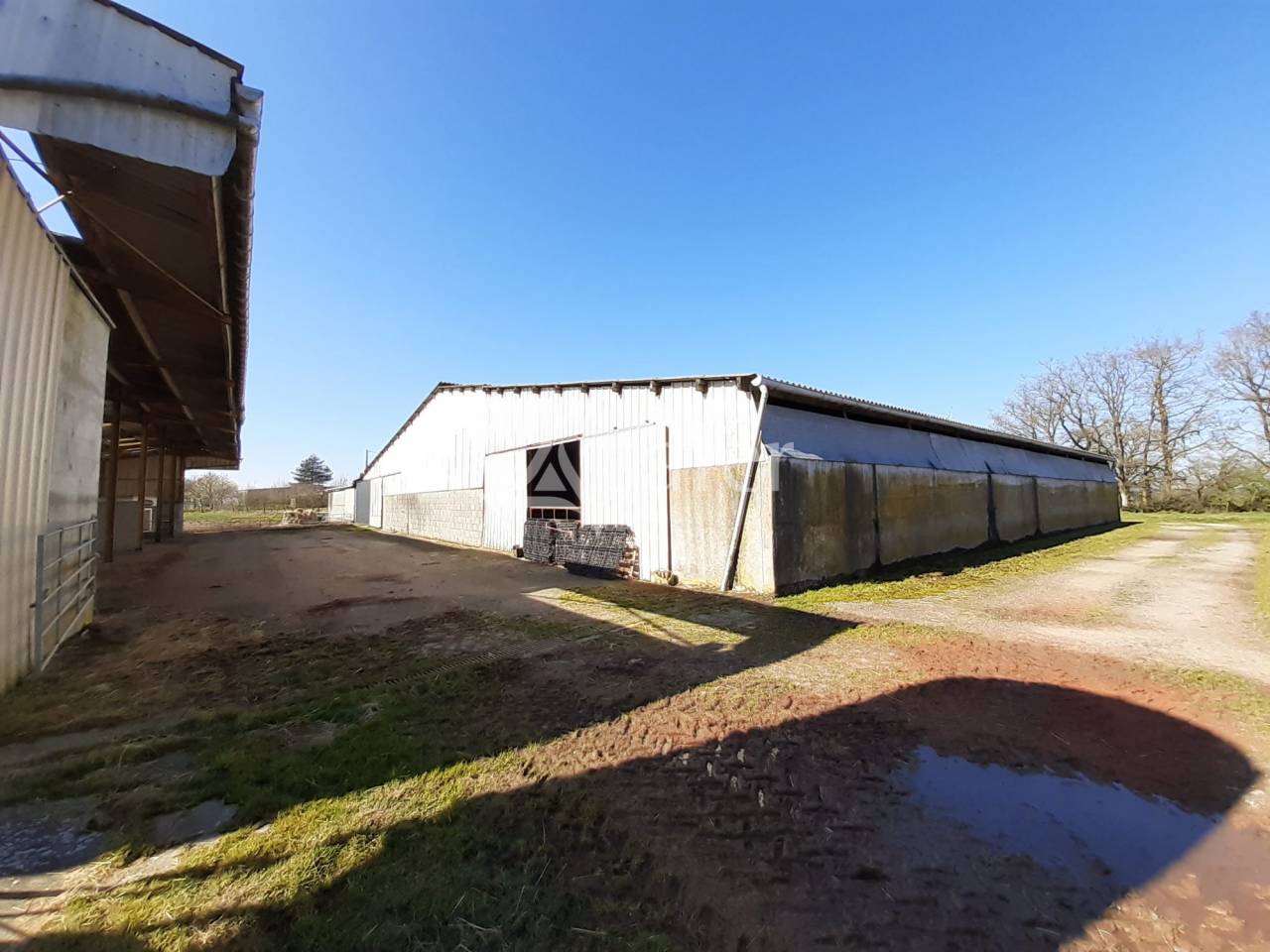 Sheep farm  Deux-Sèvres