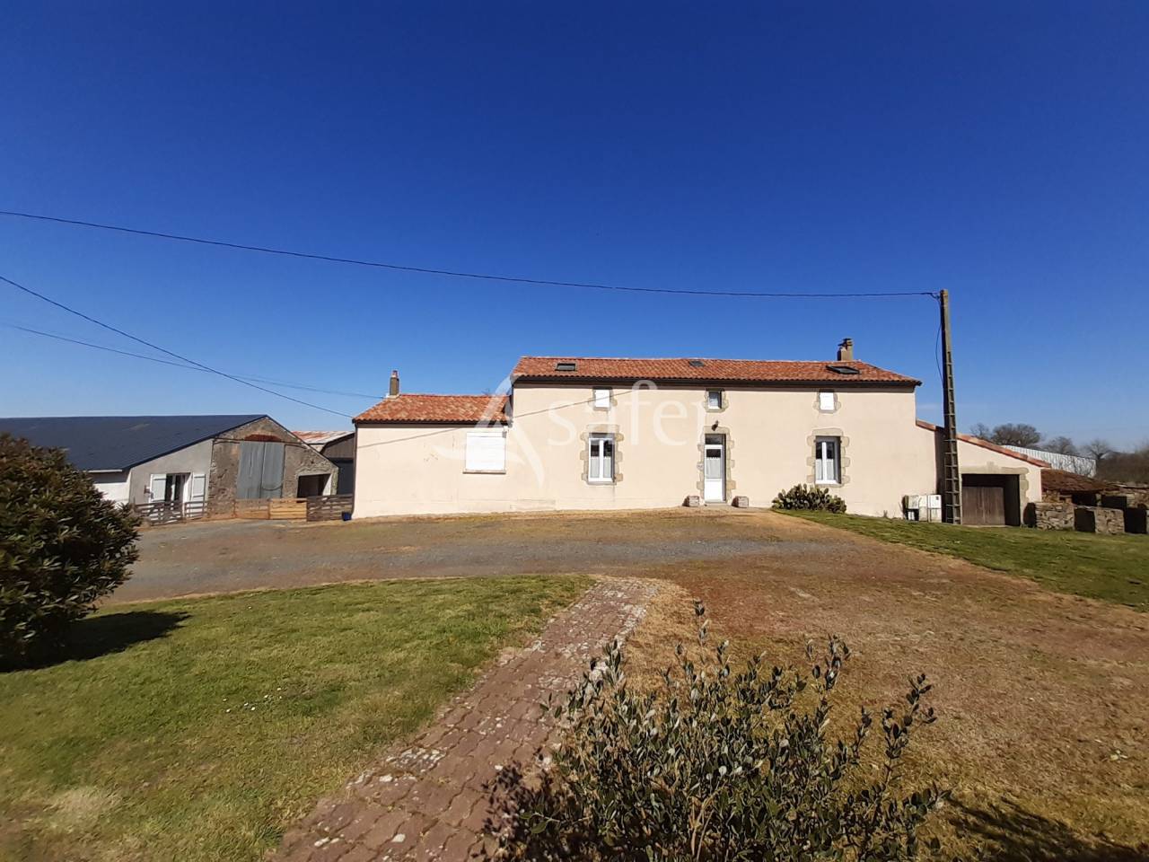 Sheep farm  Deux-Sèvres